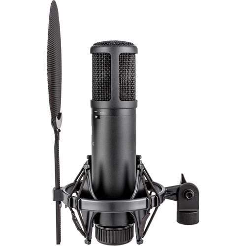 SE Electronics SE2200 Large Diaphram Cardiod Condenser Mic with Shockmount and Filter-Dirt Cheep