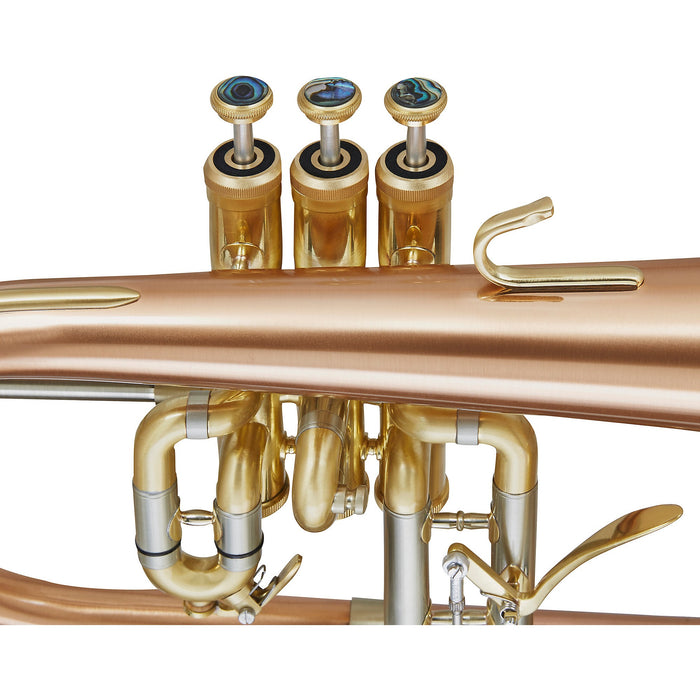 Blessing BFH-1541RT Performance Series Bb Flugelhorn, Matte