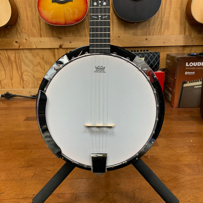 Danville BJ-24 Closed-back 24 Bracket Banjo