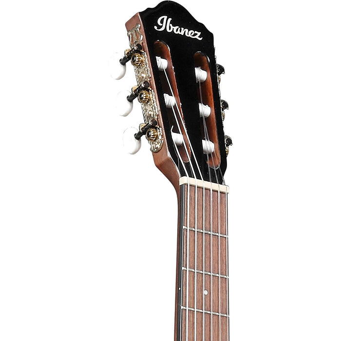 Ibanez AEG50N Acoustic-Electric Nylon String Guitar, Black High Gloss