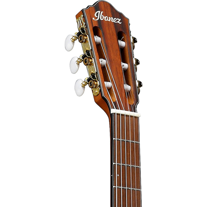 Ibanez FRH10NBSF Thinline Nylon Acoustic-Electric Guitar, Brown Sunburst