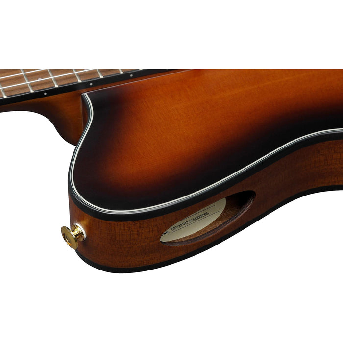 Ibanez FRH10NBSF Thinline Nylon Acoustic-Electric Guitar, Brown Sunburst