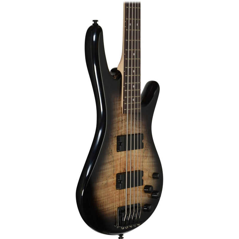 Ibanez Gio GSR205SMNGT 5-string Electric Bass - Spalted Maple, Natural Gray Burst