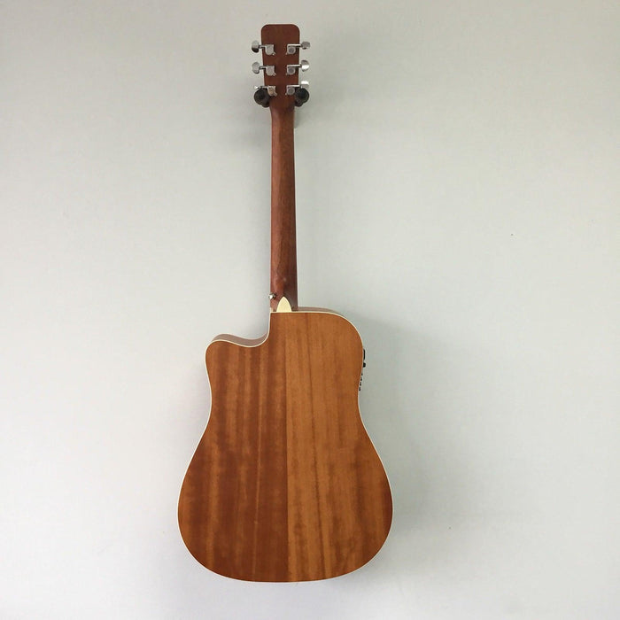 Nashville Guitar Works D10CEEB Acoustic Electric Guitar, Satin Edgeburst