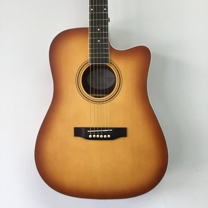 Nashville Guitar Works D10CEEB Acoustic Electric Guitar, Satin Edgeburst
