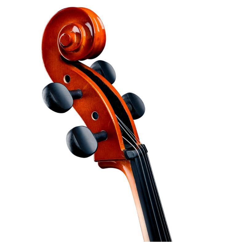 Oxford Concerto Student Cello Outfit w/ Bag and Bow, 1/2
