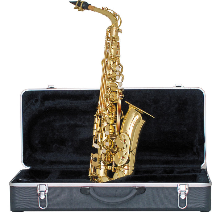 Strauss 6300 Student Alto Saxophone Outfit