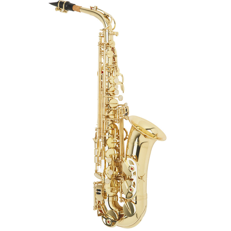 Strauss 6300 Student Alto Saxophone Outfit