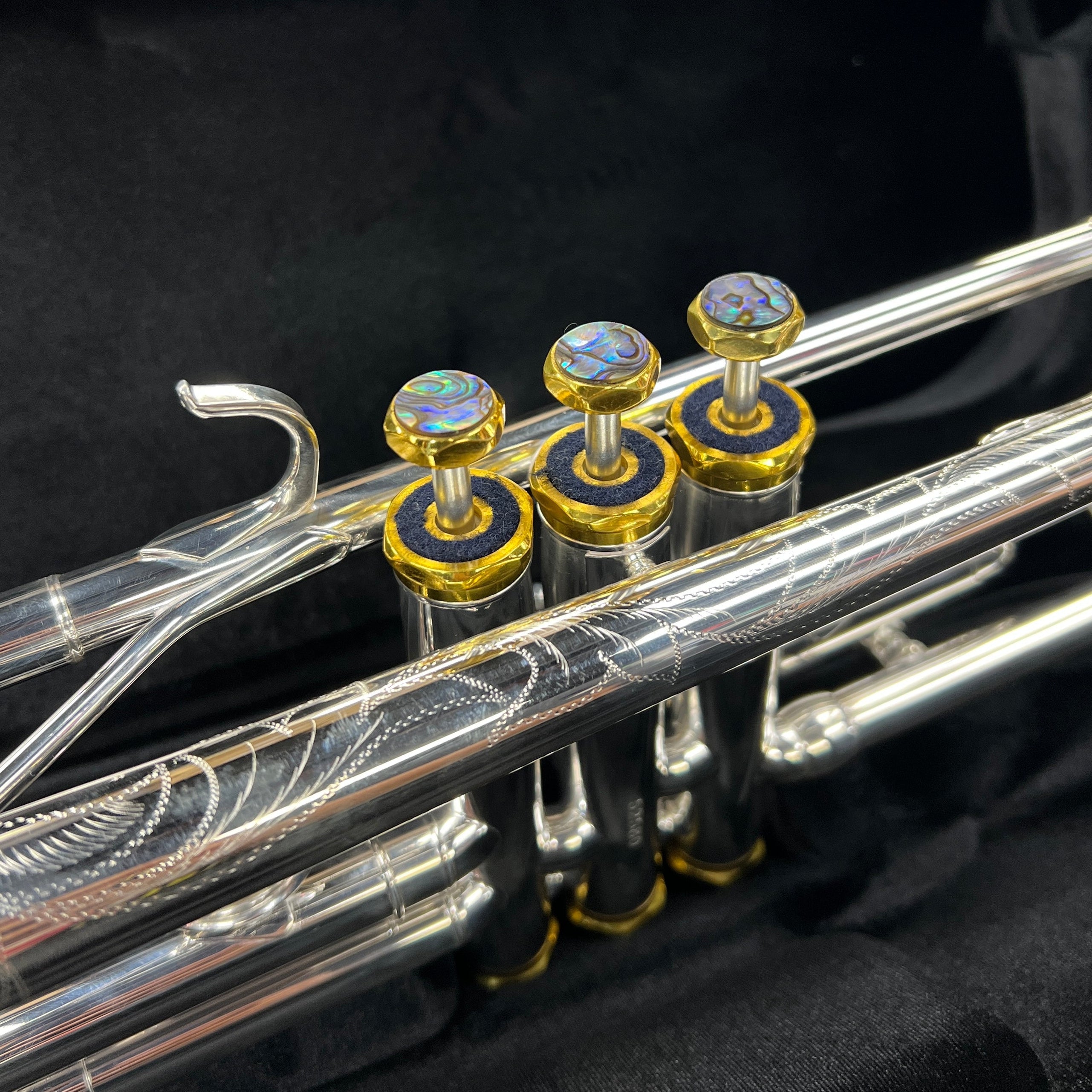 Strauss Imperial 99X Professional Trumpet Outfit, Silver, Reverse Lead ...