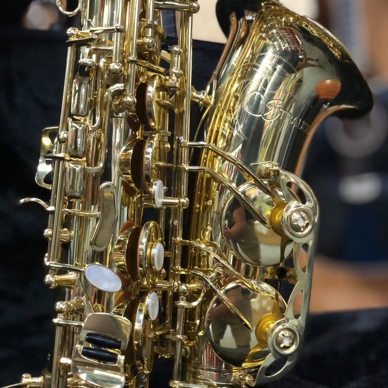 Strauss Super 70 Intermediate Alto Saxophone Outfit, Gold Lacquer