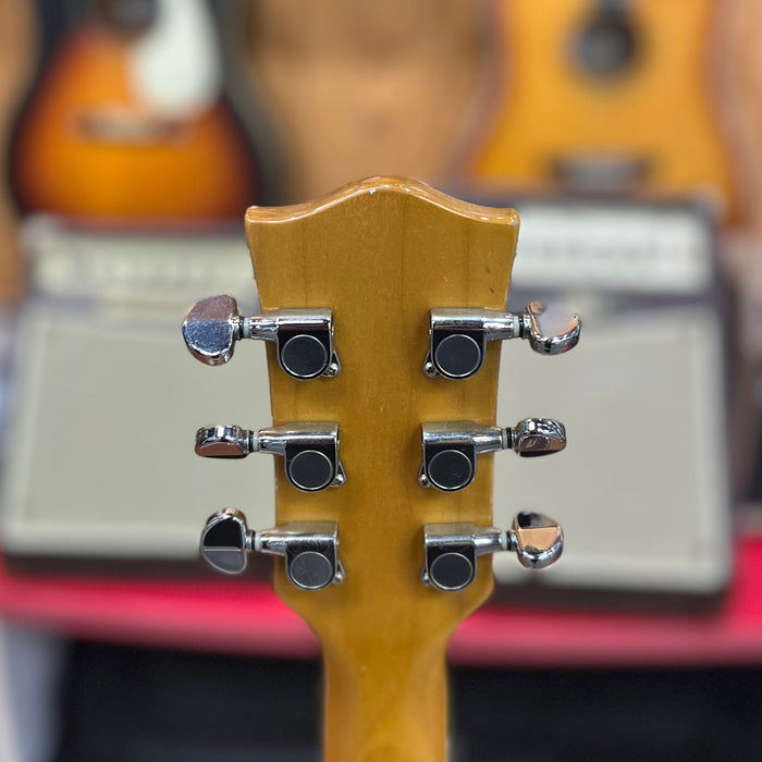 USED Austin Guitars AU796 Hollowbody Electric Guitar, Natural