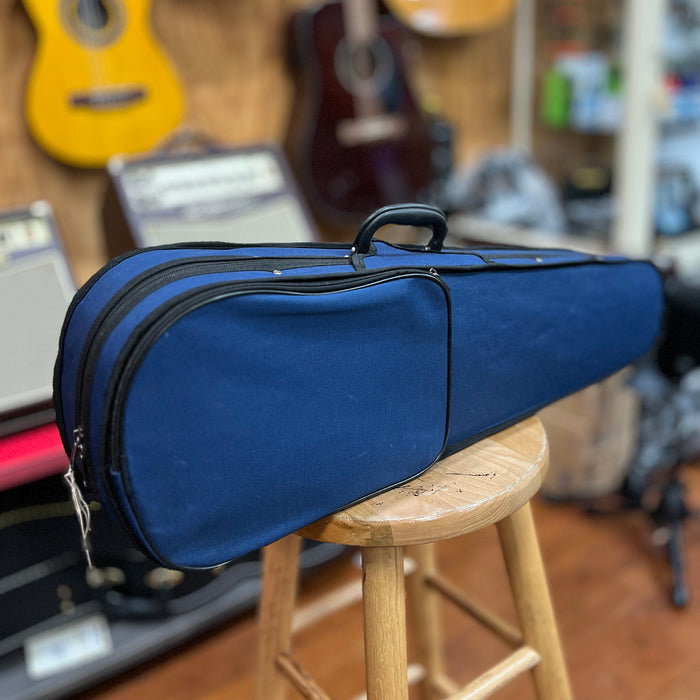 USED Brandenburg VN-880 Violin Outfit with Case and Bow, 1/2