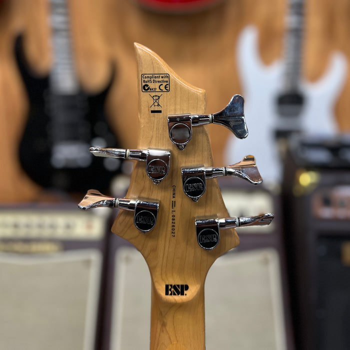 USED ESP LTD B-55  5-String Electric Bass, Black