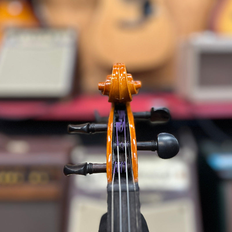 USED Eastman VL-100 Samuel Eastman Series Student 4/4 Violin Outfit
