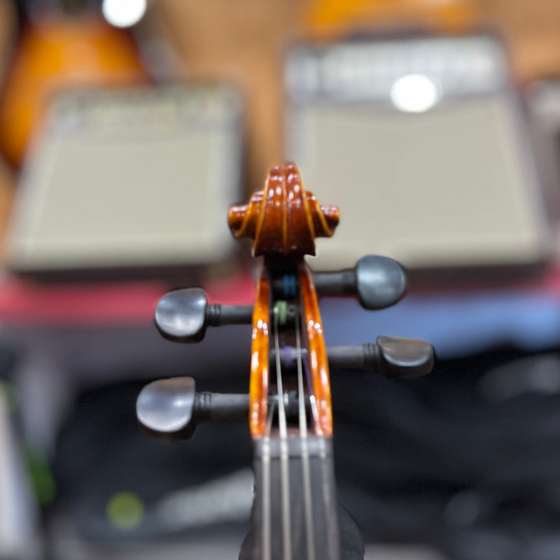 USED F. Reiner Intermediate 4/4 Violin Outfit