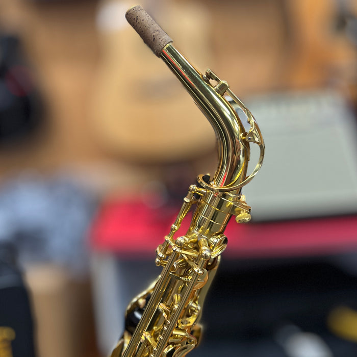 USED Glarry Student Alto Saxophone Outfit