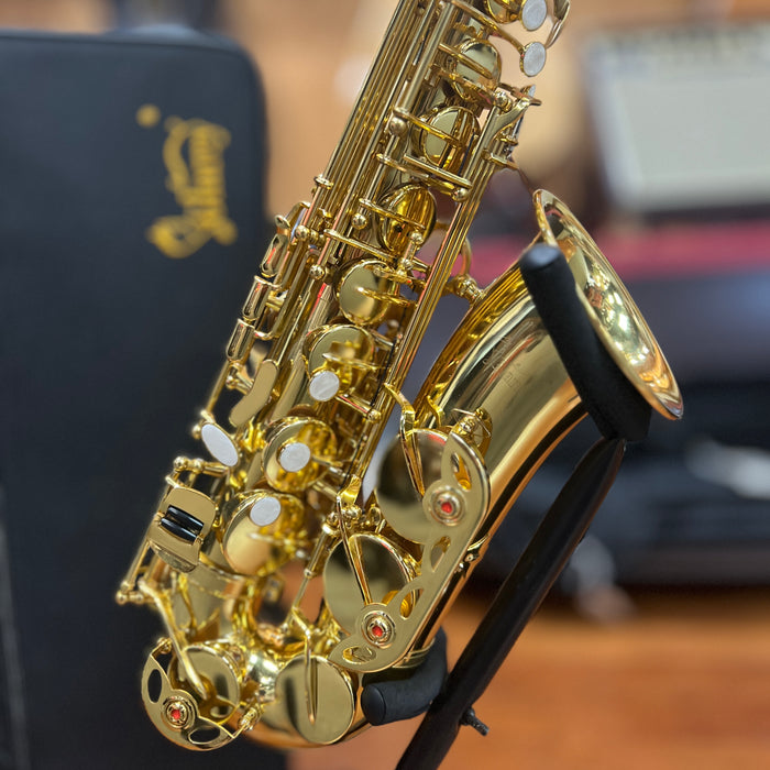 USED Glarry Student Alto Saxophone Outfit