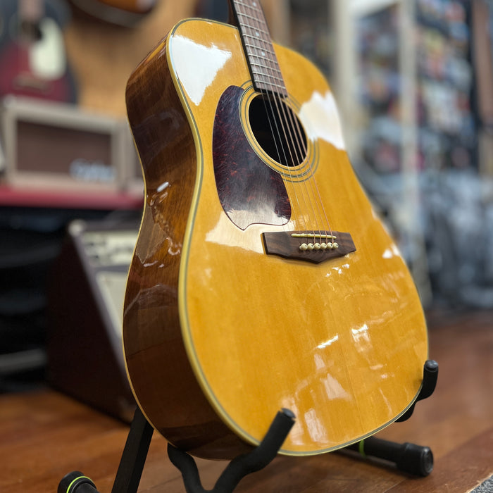 USED Ibanez PF10LNT Left-Handed Dreadnought Acoustic Guitar, Natural