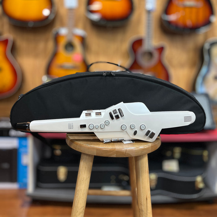 USED Roland AE-10 Aerophone Digital Wind Instrument (Z218987)