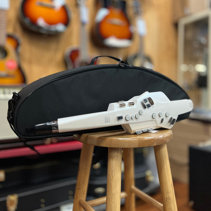 USED Roland AE-10 Aerophone Digital Wind Instrument (Z218987)