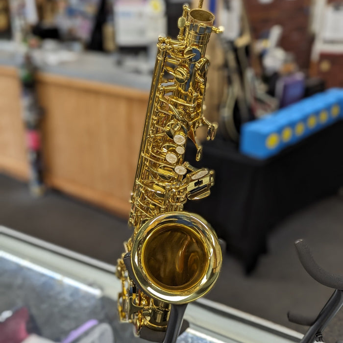 USED Strauss 6117 Student Alto Saxophone Outfit
