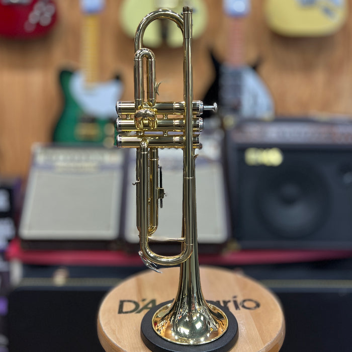 USED Strauss 6300 Trumpet Outfit (SL030524S032)