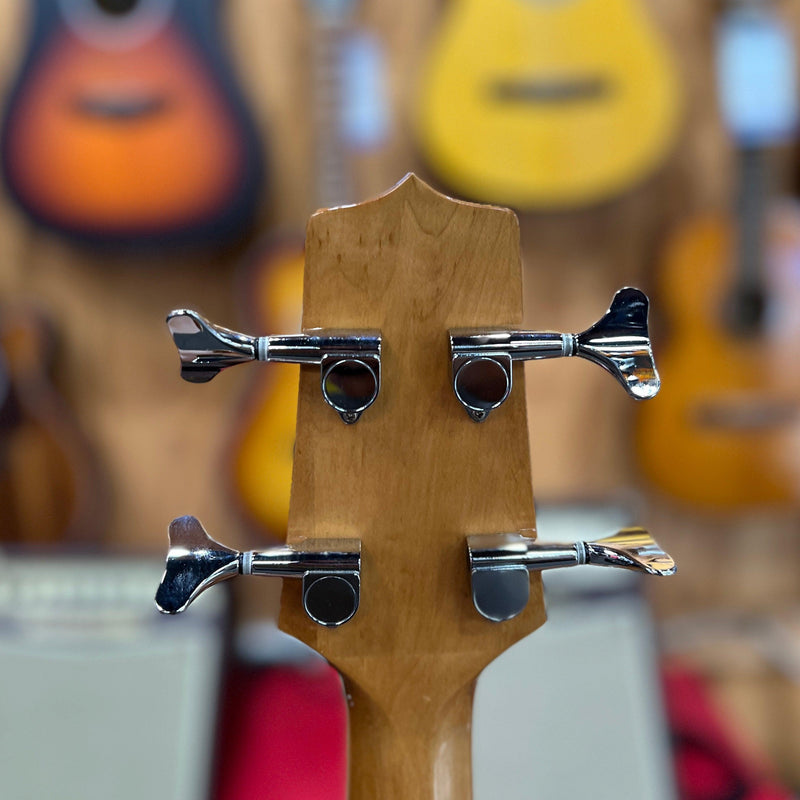 USED Takamine G Series EGB2S Jumbo Acoustic-Electric Bass w/ OHSC