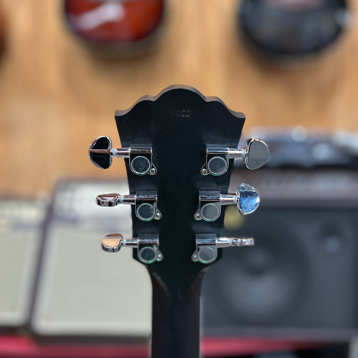 USED Washburn Deep Forest Spalted Maple Acoustic-Electric Guitar, Black Fade