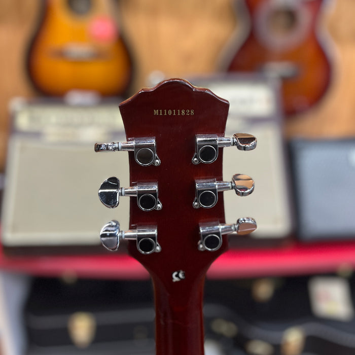 USED Washburn Idol Series Flame Maple Electric Guitar