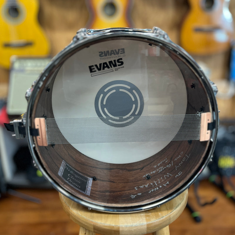 Wellingtone Salute Series Tony Williams 14x7 Walnut/Oak Snare Drum