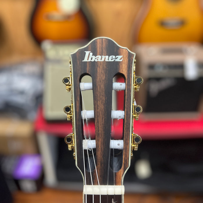 USED Ibanez TOD10NTKF Tim Henson Signature Nylon Guitar, Black