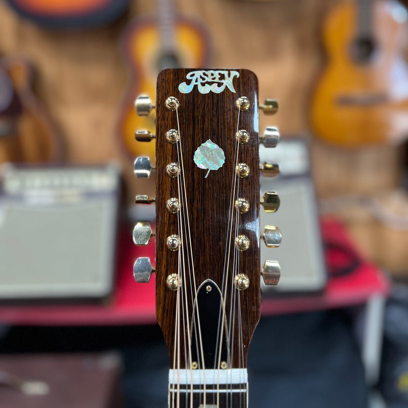 VINTAGE Aspen 12 String Acoustic Guitar w/ OHSC
