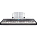 Alesis Recital Pro 88-Key Weighted Digital Piano-Dirt Cheep