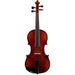 Brandenburg VA-880 Viola Outfit with Case and Bow, 13"-Dirt Cheep