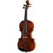 Brandenburg VA-880 Viola Outfit with Case and Bow, 15''-Dirt Cheep