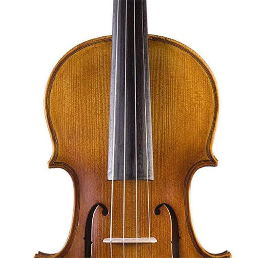 Brandenburg VN-1080 Antiqued Violin Outfit with Case and Bow, 4/4-Dirt Cheep