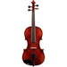 Brandenburg VN-880 Violin Outfit with Case and Bow, 3/4-Dirt Cheep