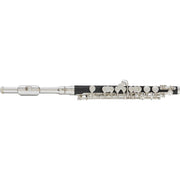 DEMO Blessing BPC-1287 Silver Plated Piccolo with Wooden Case and Cover-Dirt Cheep