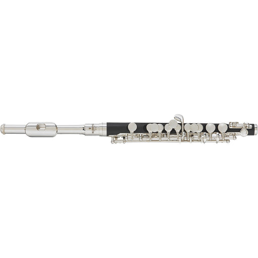DEMO Blessing BPC-1287 Silver Plated Piccolo with Wooden Case and Cover-Dirt Cheep