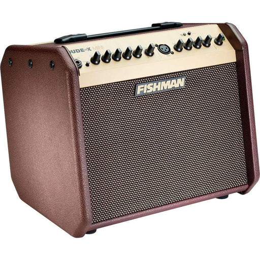Fishman Loudbox Mini Bluetooth 60W Acoustic Combo Amplifier-Dirt Cheep