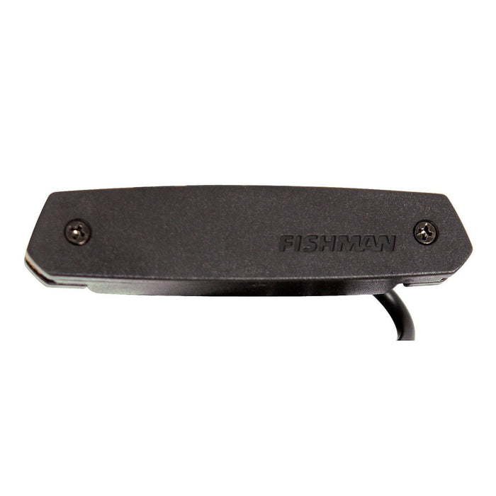 Fishman Pro-Neo-D01 Magnetic Soundhole Pickup-Dirt Cheep