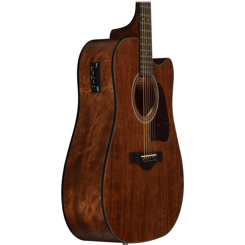 Ibanez Artwood AW54CE Acoustic/Electric Guitar (Open Pore Natural)