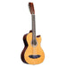 Lucida LG-BS1-E Mexican Bajo Sexto, Acoustic Electric-Dirt Cheep