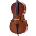 Palatino VC-150 Antonius Student Practice Cello, 3/4-Dirt Cheep