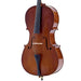 Palatino VC-150 Antonius Student Practice Cello, 4/4-Dirt Cheep