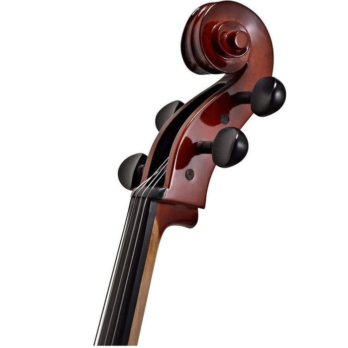 Palatino VC-450 Allegro Cello Outfit with Bag and Bow, 4/4-Dirt Cheep