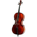 Palatino VC-450 Allegro Cello Outfit with Case and Bow, 3/4-Dirt Cheep