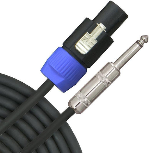 RapcoHorizon H16-30LN2 16GA Commercial Speaker Cable, 30 feet, 1/4 inch to Speakon-Dirt Cheep