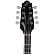The Loar LM-110 Hand-Carved A-Style Mandolin, Vintage Brownburst-Dirt Cheep